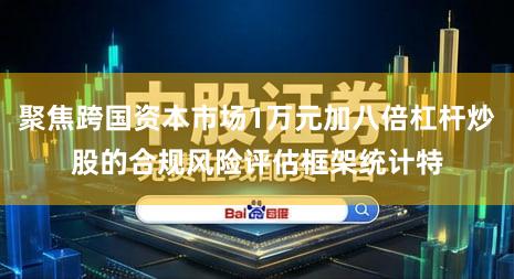 聚焦跨国资本市场1万元加八倍杠杆炒股的合规风险评估框架统计特