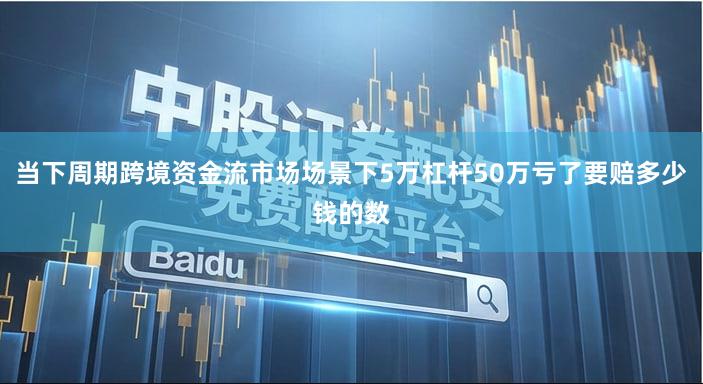 当下周期跨境资金流市场场景下5万杠杆50万亏了要赔多少钱的数