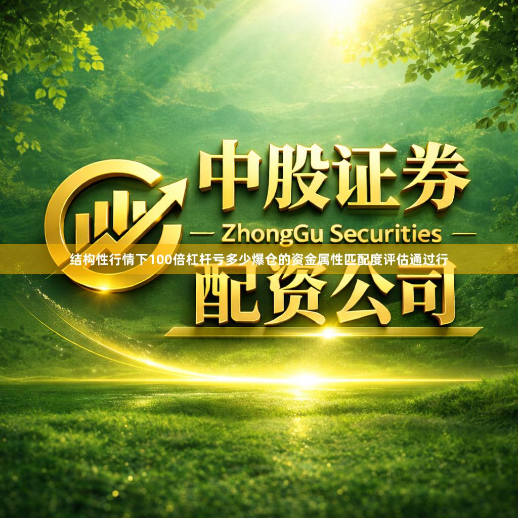 结构性行情下100倍杠杆亏多少爆仓的资金属性匹配度评估通过行