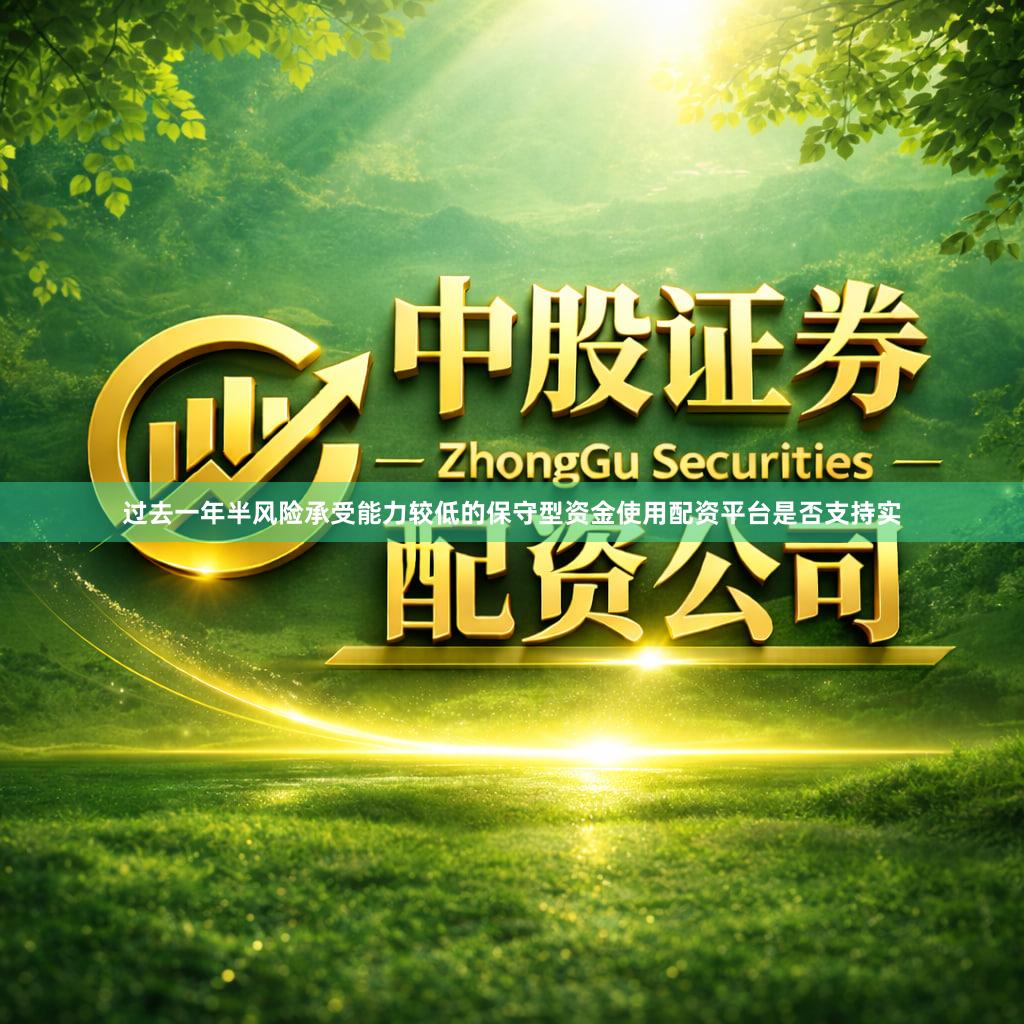 过去一年半风险承受能力较低的保守型资金使用配资平台是否支持实